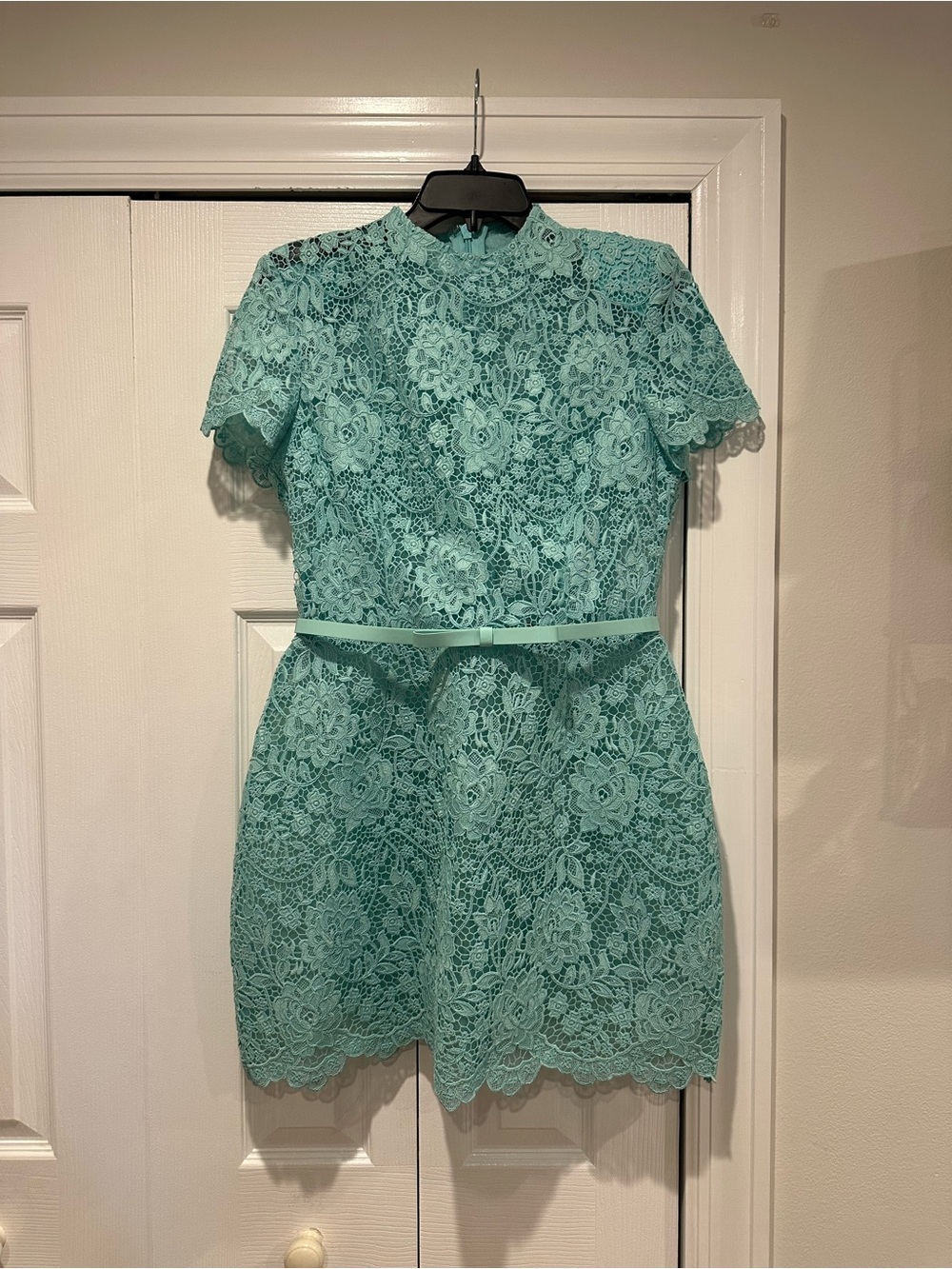 Nadine Merabi Milly Mint Dress - Picture 2 of 6